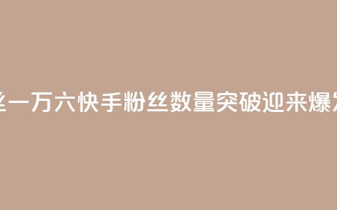 快手粉丝一万六(快手粉丝数量突破16K，迎来爆发式增长) 第1张