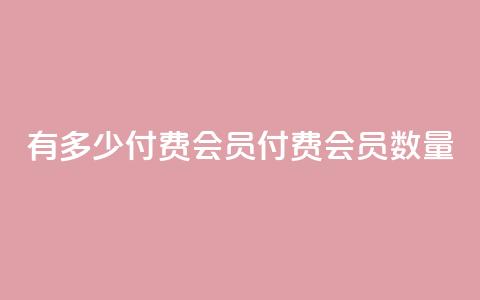 qq有多少付费会员(qq付费会员数量) 第1张 qq有多少付费会员(qq付费会员数量) 第1张