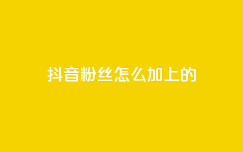 抖音粉丝怎么加上的 - 如何提升抖音粉丝量~ 第1张 抖音粉丝怎么加上的 - 如何提升抖音粉丝量~ 第1张