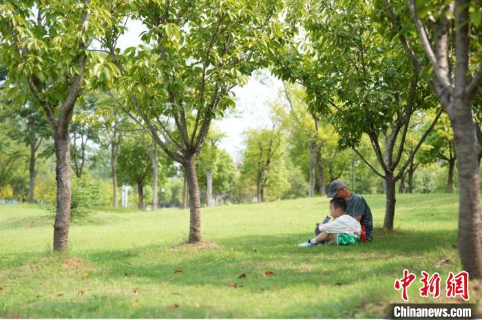 “马鞍山长江保护日”的绿色承诺与行动 第3张 “马鞍山长江保护日”的绿色承诺与行动 第3张