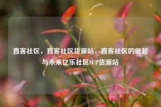 直客社区，直客社区货源站，直客社区的崛起与未来亿乐社区SUP货源站