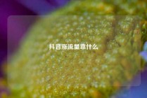 抖音涨流量靠什么