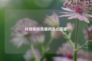 抖音涨粉直播间怎么搭建