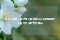 快手买粉丝，揭秘快手粉丝购买背后的真相亿乐社区低价自营货源站