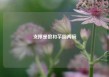 支撑是狼和芋圆两碗