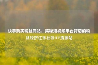 快手购买粉丝网站，揭秘短视频平台背后的粉丝经济亿乐社区SUP货源站