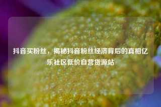 抖音买粉丝，揭秘抖音粉丝经济背后的真相亿乐社区低价自营货源站