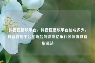 抖音直播放平台，抖音直播放平台抽成多少，抖音直播平台的崛起与影响亿乐社区低价自营货源站