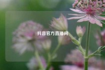 抖音官方直播间