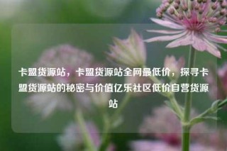 卡盟货源站，卡盟货源站全网最低价，探寻卡盟货源站的秘密与价值亿乐社区低价自营货源站