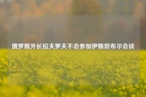 俄罗斯外长拉夫罗夫不会参加伊斯坦布尔会谈