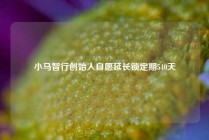 小马智行创始人自愿延长锁定期540天