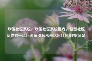 玖伍社区系统，玖伍社区系统官方，智慧社区新体验—玖伍系统引领未来亿乐社区SUP货源站