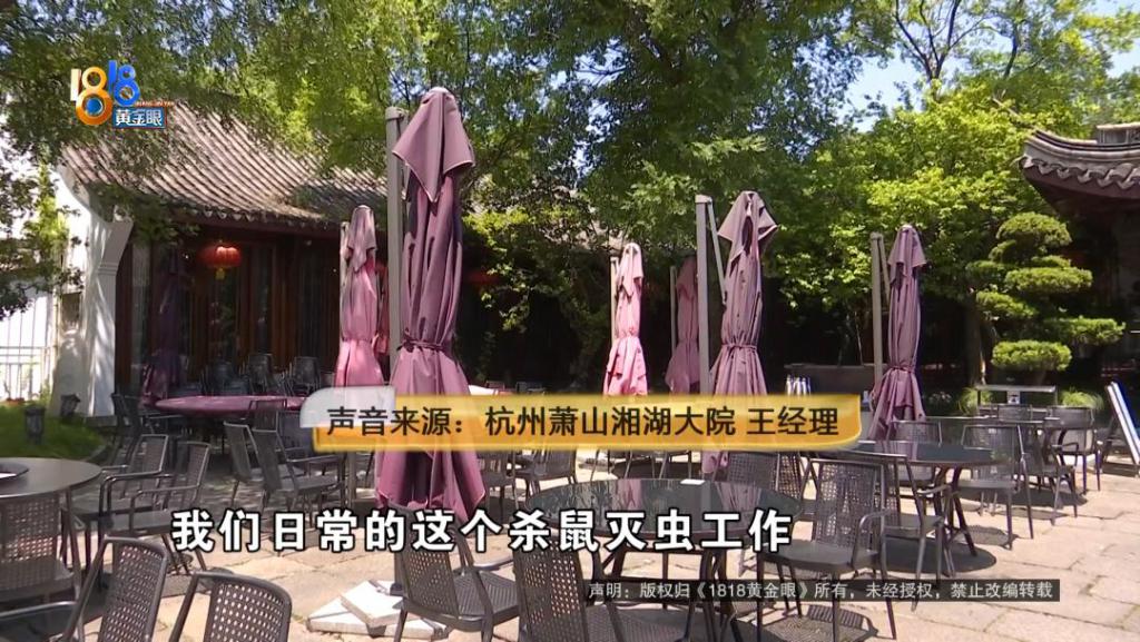 吃完饭一出包厢被大老鼠吓坏了，当事人：退一赔十  第8张