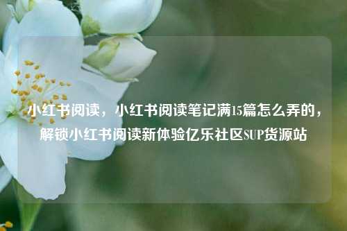 小红书阅读，小红书阅读笔记满15篇怎么弄的	，解锁小红书阅读新体验亿乐社区SUP货源站  第1张