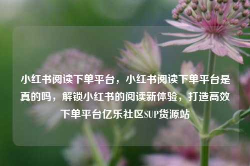 小红书阅读下单平台，小红书阅读下单平台是真的吗，解锁小红书的阅读新体验	，打造高效下单平台亿乐社区SUP货源站  第1张