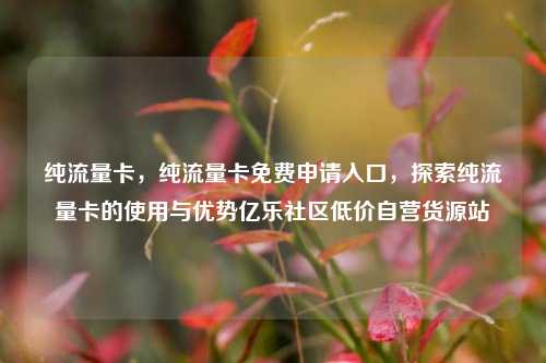 纯流量卡	，纯流量卡免费申请入口，探索纯流量卡的使用与优势亿乐社区低价自营货源站  第1张