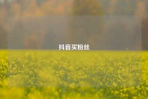 抖音买粉丝  第1张