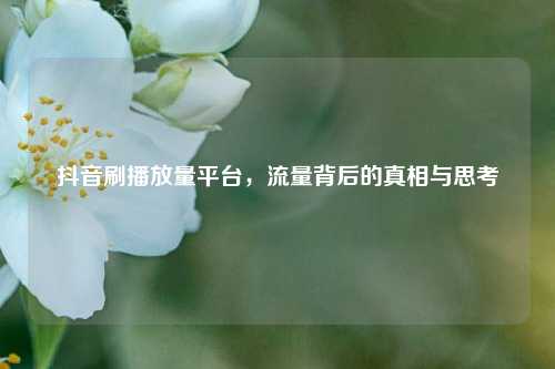 抖音刷播放量平台，流量背后的真相与思考  第1张