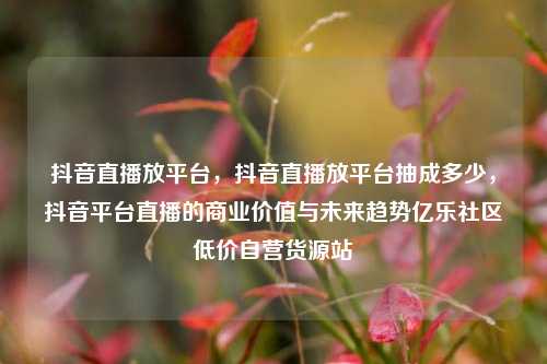 抖音直播放平台，抖音直播放平台抽成多少	，抖音平台直播的商业价值与未来趋势亿乐社区低价自营货源站  第1张
