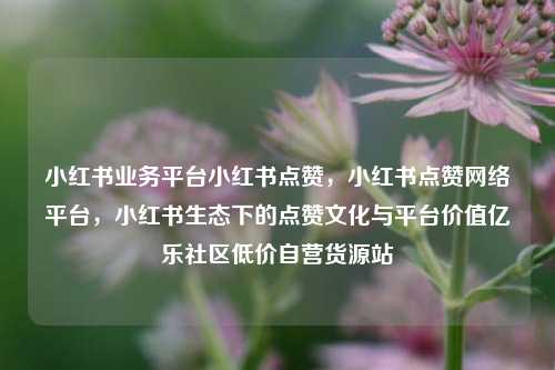 小红书业务平台小红书点赞	，小红书点赞网络平台，小红书生态下的点赞文化与平台价值亿乐社区低价自营货源站  第1张
