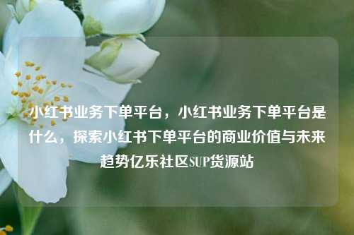 小红书业务下单平台，小红书业务下单平台是什么，探索小红书下单平台的商业价值与未来趋势亿乐社区SUP货源站  第1张