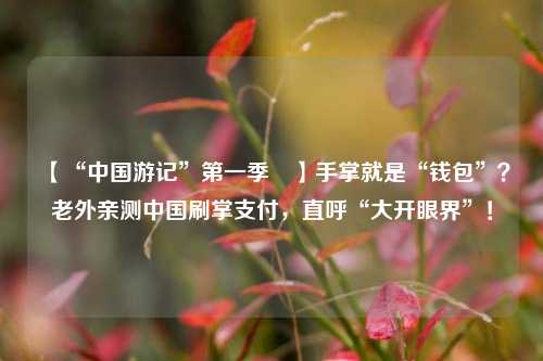 【“中国游记”第一季㉗】手掌就是“钱包”？老外亲测中国刷掌支付，直呼“大开眼界	”！  第1张