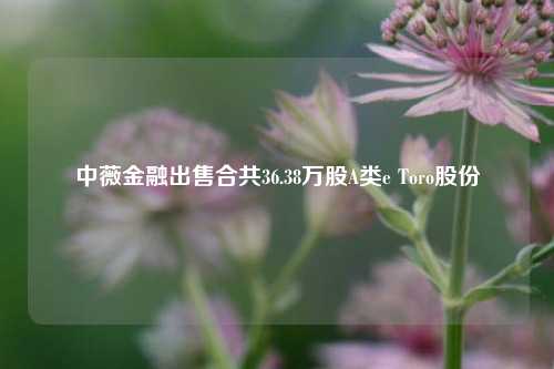中薇金融出售合共36.38万股A类e Toro股份  第1张