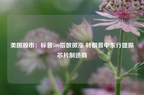美国股市：标普500指数微涨 特朗普中东行提振芯片制造商  第1张