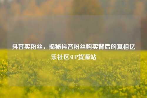 抖音买粉丝，揭秘抖音粉丝购买背后的真相亿乐社区SUP货源站  第1张