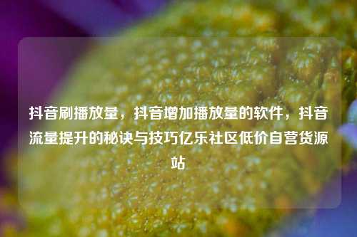 抖音刷播放量，抖音增加播放量的软件，抖音流量提升的秘诀与技巧亿乐社区低价自营货源站  第1张