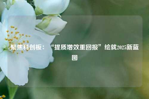 聚焦科创板：“提质增效重回报”绘就2025新蓝图  第1张
