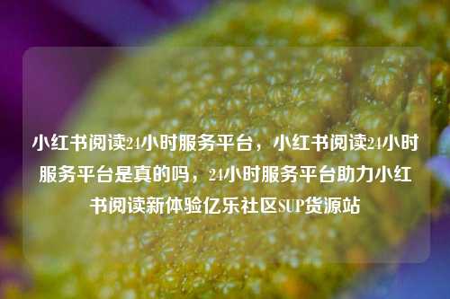 小红书阅读24小时服务平台，小红书阅读24小时服务平台是真的吗，24小时服务平台助力小红书阅读新体验亿乐社区SUP货源站  第1张