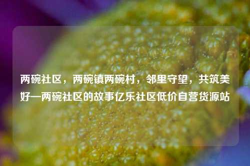 两碗社区，两碗镇两碗村，邻里守望	，共筑美好—两碗社区的故事亿乐社区低价自营货源站  第1张