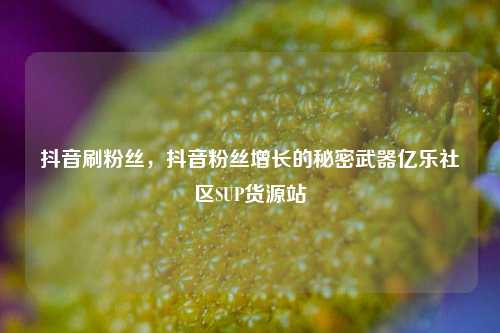 抖音刷粉丝，抖音粉丝增长的秘密武器亿乐社区SUP货源站  第1张