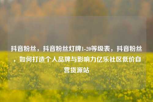 抖音粉丝	，抖音粉丝灯牌1-20等级表，抖音粉丝，如何打造个人品牌与影响力亿乐社区低价自营货源站  第1张