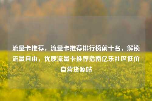 流量卡推荐，流量卡推荐排行榜前十名，解锁流量自由	，优质流量卡推荐指南亿乐社区低价自营货源站  第1张