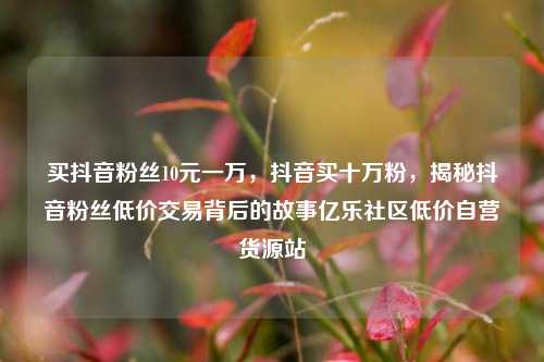 买抖音粉丝10元一万，抖音买十万粉，揭秘抖音粉丝低价交易背后的故事亿乐社区低价自营货源站  第1张