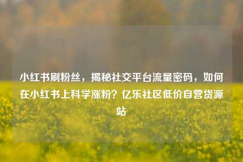 小红书刷粉丝，揭秘社交平台流量密码，如何在小红书上科学涨粉？亿乐社区低价自营货源站  第1张