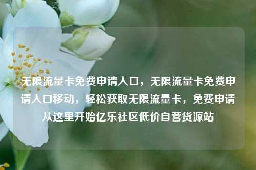无限流量卡免费申请入口	，无限流量卡免费申请入口移动，轻松获取无限流量卡，免费申请从这里开始亿乐社区低价自营货源站  第1张