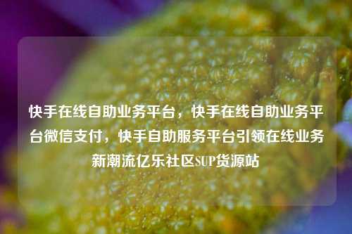 快手在线自助业务平台	，快手在线自助业务平台微信支付，快手自助服务平台引领在线业务新潮流亿乐社区SUP货源站  第1张
