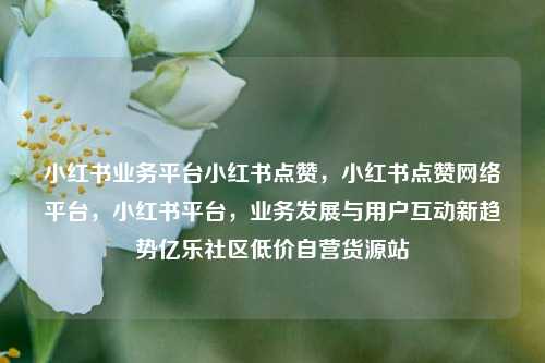 小红书业务平台小红书点赞，小红书点赞网络平台，小红书平台，业务发展与用户互动新趋势亿乐社区低价自营货源站  第1张