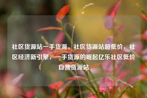 社区货源站一手货源	，社区货源站超低价，社区经济新引擎，一手货源的崛起亿乐社区低价自营货源站  第1张