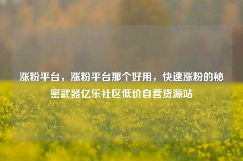 涨粉平台，涨粉平台那个好用	，快速涨粉的秘密武器亿乐社区低价自营货源站  第1张