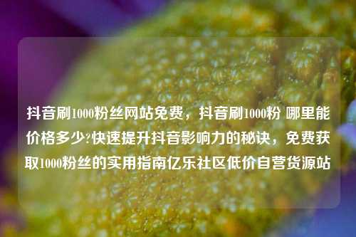 抖音刷1000粉丝网站免费	，抖音刷1000粉 哪里能价格多少?快速提升抖音影响力的秘诀，免费获取1000粉丝的实用指南亿乐社区低价自营货源站  第1张