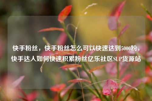 快手粉丝，快手粉丝怎么可以快速达到5000粉，快手达人如何快速积累粉丝亿乐社区SUP货源站  第1张