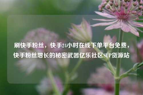 刷快手粉丝，快手24小时在线下单平台免费	，快手粉丝增长的秘密武器亿乐社区SUP货源站  第1张
