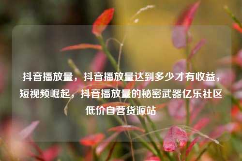 抖音播放量，抖音播放量达到多少才有收益，短视频崛起，抖音播放量的秘密武器亿乐社区低价自营货源站  第1张