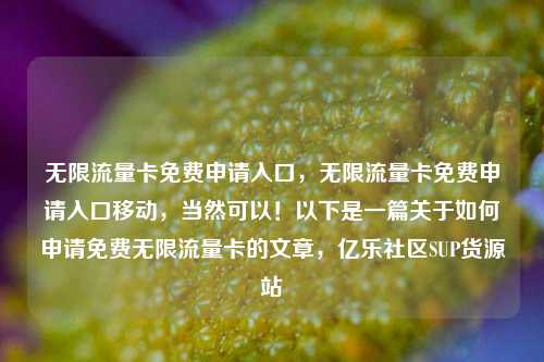 无限流量卡免费申请入口，无限流量卡免费申请入口移动	，当然可以！以下是一篇关于如何申请免费无限流量卡的文章，亿乐社区SUP货源站  第1张