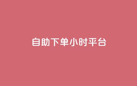 自助下单24小时平台 - 全天候自助下单平台，24小时无缝服务体验~  第1张
